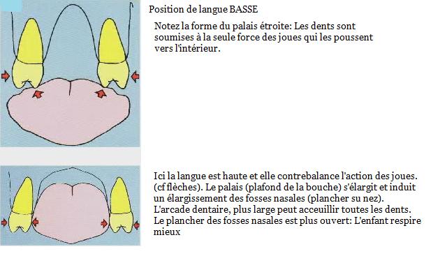 Orthodontie Orléans